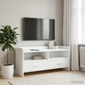 vidaXL TV skrinka 100 x 33 x 47 cm Biela Kompozitné drevo