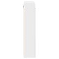 vidaXL Kúpeľňová zrkadlová skrinka TULUM Biela 60 x 16,5 x 78 cm