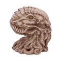 Lebka Cthulhu (20 cm)