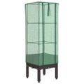 vidaXL Záhon s krytom na skleník ratanový vzhľad 40x40x140 cm