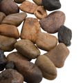 vidaXL Leštené kamienky 25 kg rôznofarebné 2-5 cm