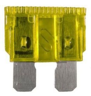 Autopojistka 20 A 19 x 12 mm