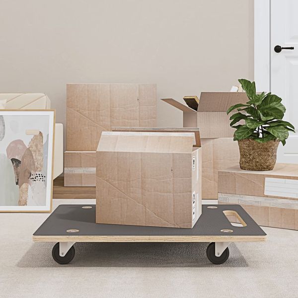 vidaXL Transportné vozíky 2 ks, obdĺžnikové 80x55x11,5 cm 250 kg
