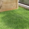 vidaXL Umelá tráva Zelená 1 x 8 m / 50 mm PP & PE