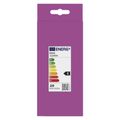 LED žiarovka Classic A80 / E27 / 20 W (150 W) / 2452 lm / Studená biela