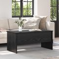 vidaXL Konferenčný stolík Čierny dub 102 x 50,5 x 46,5 cm