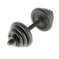 Súprava liatinových činiek v kufríku ONE Fitness STO20