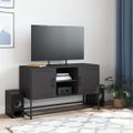 vidaXL TV skrinka čierna 100,5x39x60,5 cm oceľ