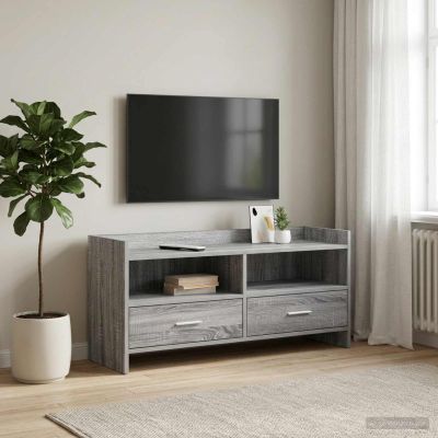 vidaXL TV skrinka 100 x 33 x 47 cm Sivý Sonoma Kompozitné drevo