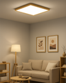 LED stropní 3CCT svítidlo TR-94S - 40W 4300lm 50x50x2,5cm Trixline