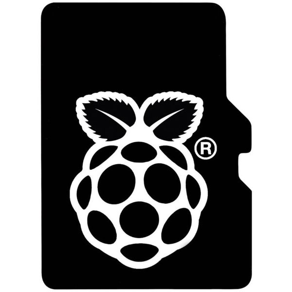 RASPBERRY Pi Micro SDHC karta 32GB NOOBS