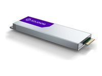 SSD - Data Center, Enterprise - 3.84 TB - interní - E1.S 9.5mm - PCIe 4.0 x4 (NVMe)