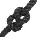 vidaXL Jutové lano 12 mm Čierna 100% Tossa juta