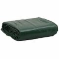 vidaXL Celta zelená 5x6 m 650 g/m²