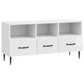 vidaXL TV skrinka Biela s vysokým leskom 102 x 34,5 x 50 cm
