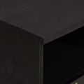 vidaXL TV skrinka Čierna 100 x 33 x 46 cm Masívne mango drevo