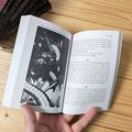 Lone Wolf: Rokľa skazy (Definitívna edícia)
