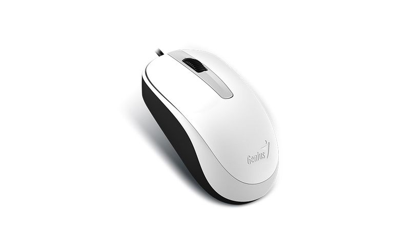 GENIUS DX-120/Kancelárska/Optická/1 200 DPI/Drôtová USB/Biela