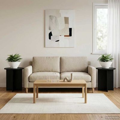 vidaXL Stojan na rastliny 2 pcs Čierna 40 x 40 x 40 cm