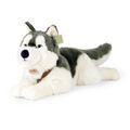 Veľký plyšový pes husky s postrojom 60 cm ECO-FRIENDLY