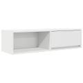 TV Skrinka vidaXL Biela 100x31x25,5 cm Konštrukčné drevo