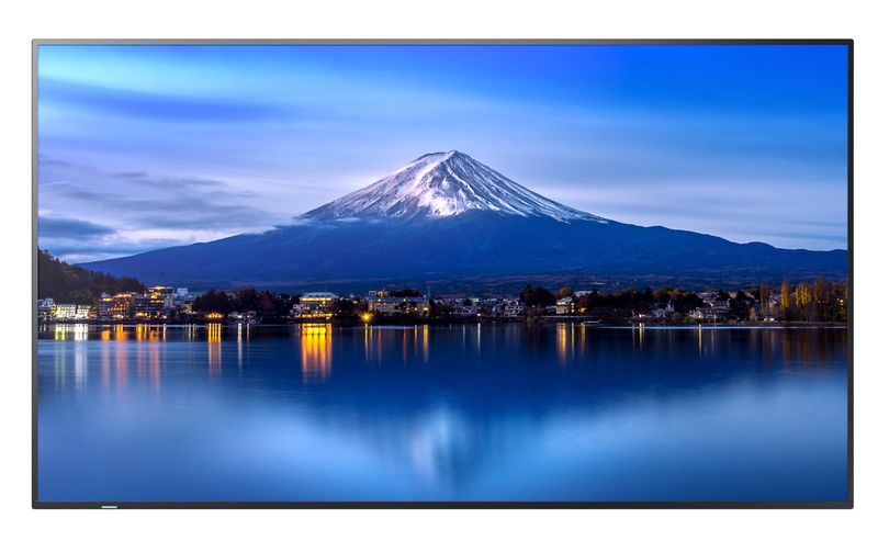 55'' LED SHARP P556,3840 x 2160, IPS, 24/7,700cd