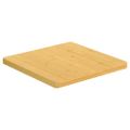 vidaXL Stolová doska 40x40x2,5 cm bambus