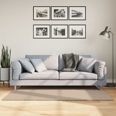 vidaXL Koberec HUARTE s krátkym vlakom umývateľný pieskový 80x150 cm