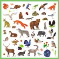 Samolepky Fauna 160 ks