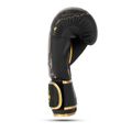 Boxerské rukavice DBX BUSHIDO Gold Dragon