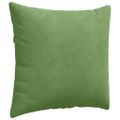 vidaXL Vankúše na pohovku 2 pcs Svetlo zelená 50 x 50 cm