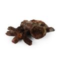 Plyšový pavúk 20 cm ECO-FRIENDLY PLUSH WORLD