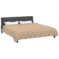 vidaXL Zimný prehoz 200 x 200 cm 450 gsm Mikrovlákno (100% polyester)