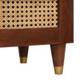vidaXL TV skrinka Hnedá 70 x 33,5 x 46 cm Masívne mango drevo
