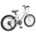 vidaXL Horský Bicykel 20 Palcov 6-Rýchlosť pre deti vo veku 5-8 rokov