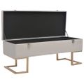 vidaXL Lavica s úložným priestorom 105 cm, sivá, zamat
