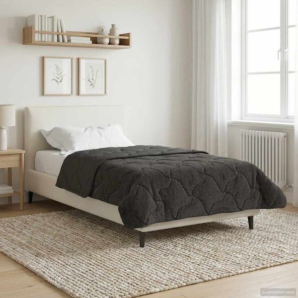 vidaXL Zimný prehoz Antracit 155 x 220 cm Mikrofáza a Teddy fleece