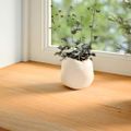 vidaXL Okenný parapet 2 ks svetlohnedá 100x40x2 cm dubový masív