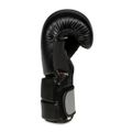 Boxerské rukavice DBX BUSHIDO B-2v9 14 oz
