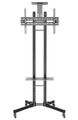 Neomounts PLASMA-M1700E / Mobile Flat Screen Floor Stand (height: 154-170 cm) / Black Stojan, pojízdný, VESA, pro LCD a TV 32"-70", nosnost 50kg, výška 154-170cm, náklon 20°, 2 police, cerný