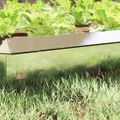 vidaXL Slimáková ohrada 100 x 3,5 x 25 cm Nehrdzavejúca oceľ
