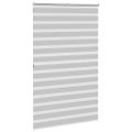 vidaXL Zebra roleta svetlosivá 145x200cm šírka látky 140,9cm polyester