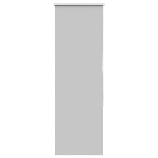 vidaXL Roleta Zatemnenie svetlo šedá 40x175 cm Šírka látky 35,7cm