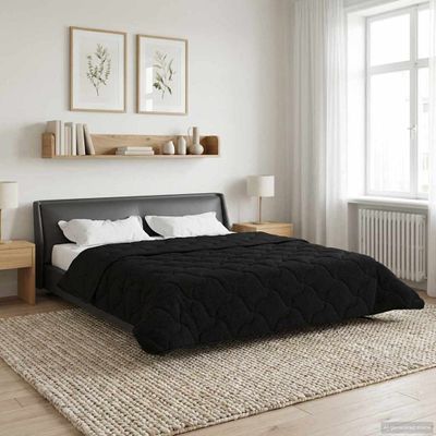 vidaXL Zimný prehoz Čierna 220 x 260 cm Mikrofáza a Teddy fleece