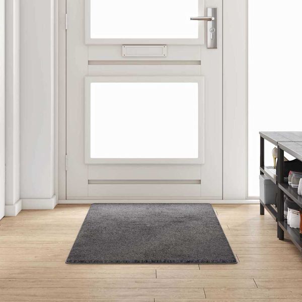 vidaXL Behúň koberec Sivá 80 x 200 cm 100% Polypropylén Tuft