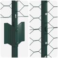 vidaXL Hexagonálny plot s stĺpom 50 x 1,4 m PVC potiahnutá oceľ Zelená