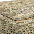 vidaXL Úložný box 120 cm kubu ratan a masívne mangovníkové drevo