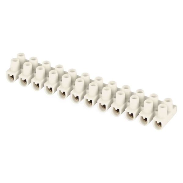 Skrutková svorkovnica 12× 2,5–4 mm2, 450 V, biela