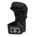 MMA rukavice DBX BUSHIDO E1v9-B XL