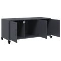 vidaXL TV skrinka antracit 100,5x39x43,5 cm oceľ